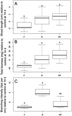 Gene expression signatures of mutualism and pathogenesis in flax roots